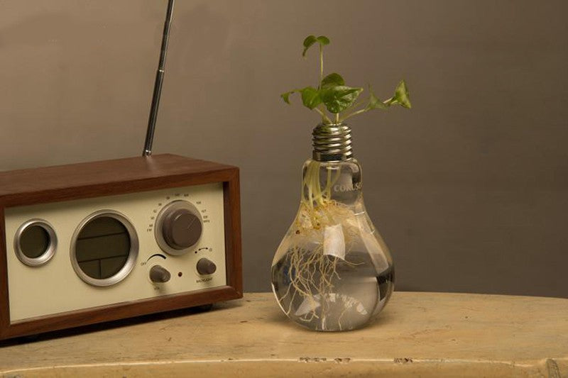 Transparent Tabletop Glass Vase