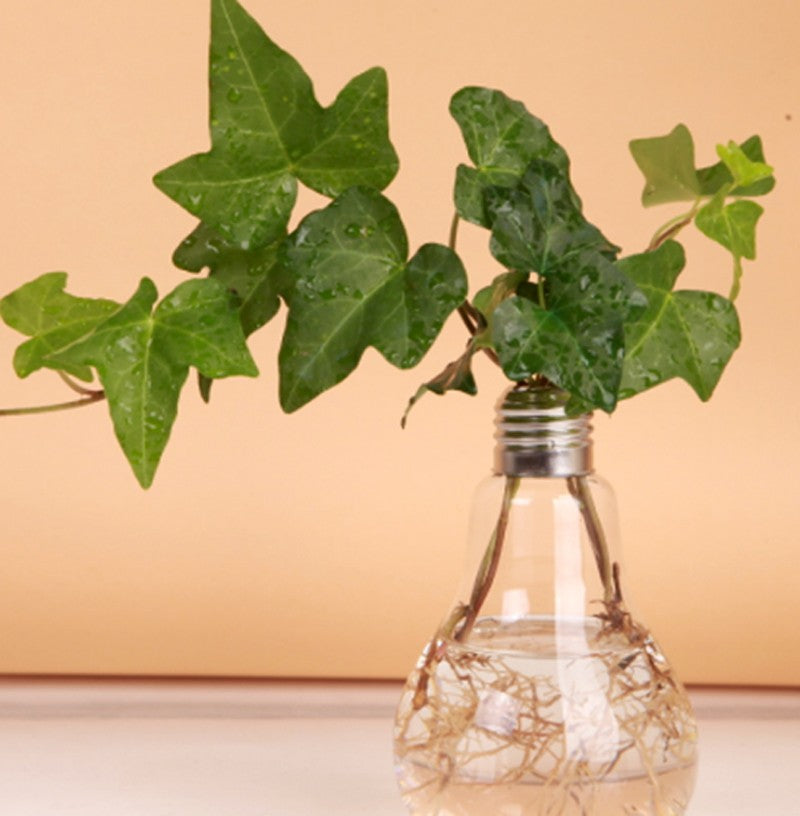 Transparent Tabletop Glass Vase