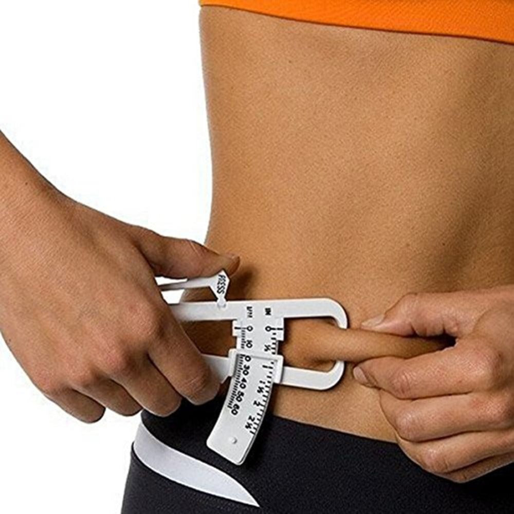 Personal Body Fat Loss Calculator Tool