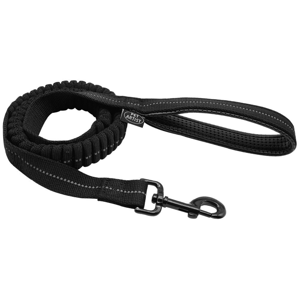 Reflective Bungee Training Dog Leash with Free Clicker