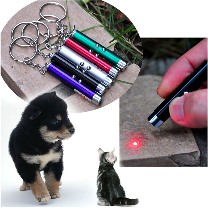 Red Laser Pointer Play Cat Toy