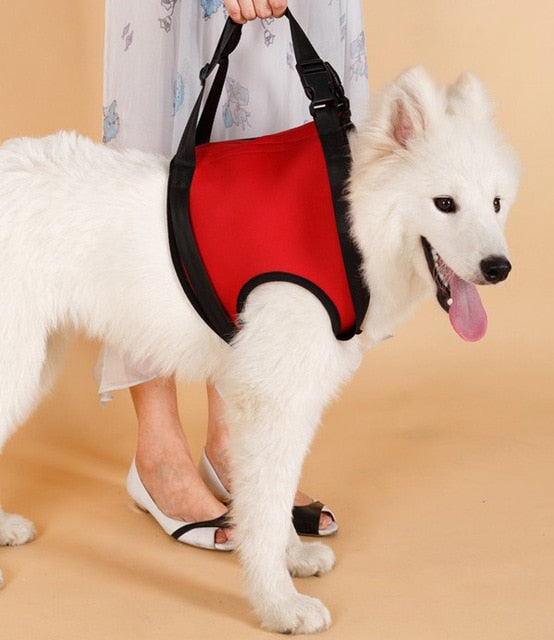 Doggy Lift and Stay Support Harness