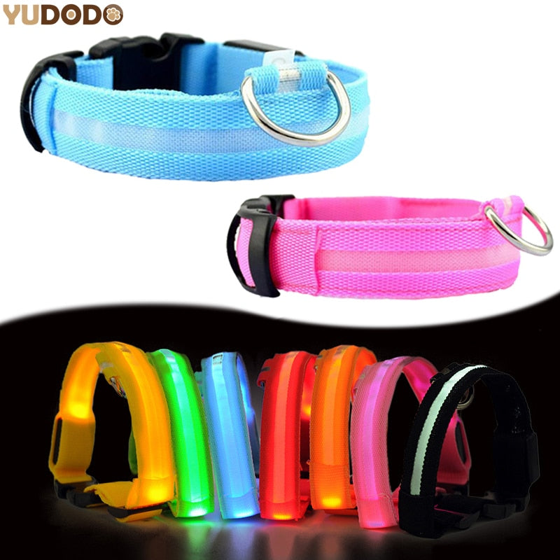 $9.99 (reg $30) LED Pet Dog Co...