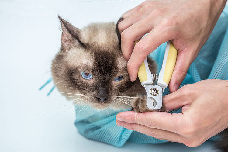 cat bath bag