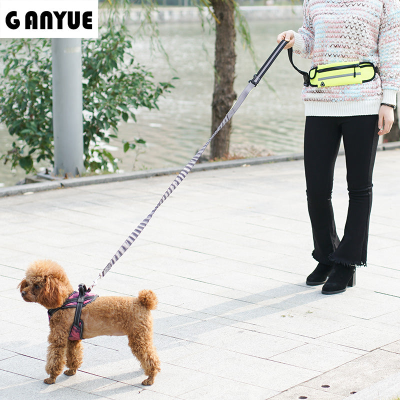 Ganyue Hands Free Elastic Dog Leash Adjustable Padded Waist Reflective Running Jogging Walking Pet Lead Belt With Pouch Bags