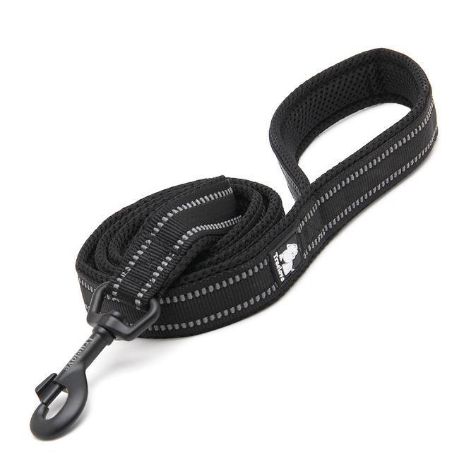 Soft Mesh Nylon Double Thickness Reflective Dog Leash