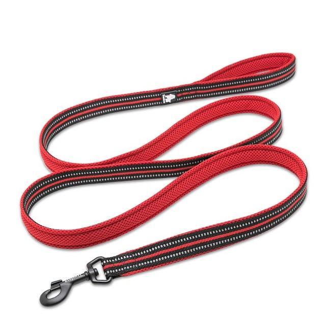 Soft Mesh Nylon Double Thickness Reflective Dog Leash