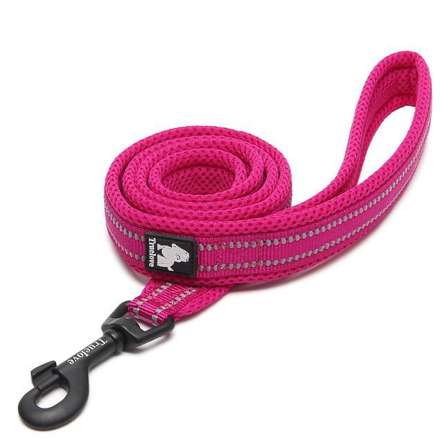 Soft Mesh Nylon Double Thickness Reflective Dog Leash