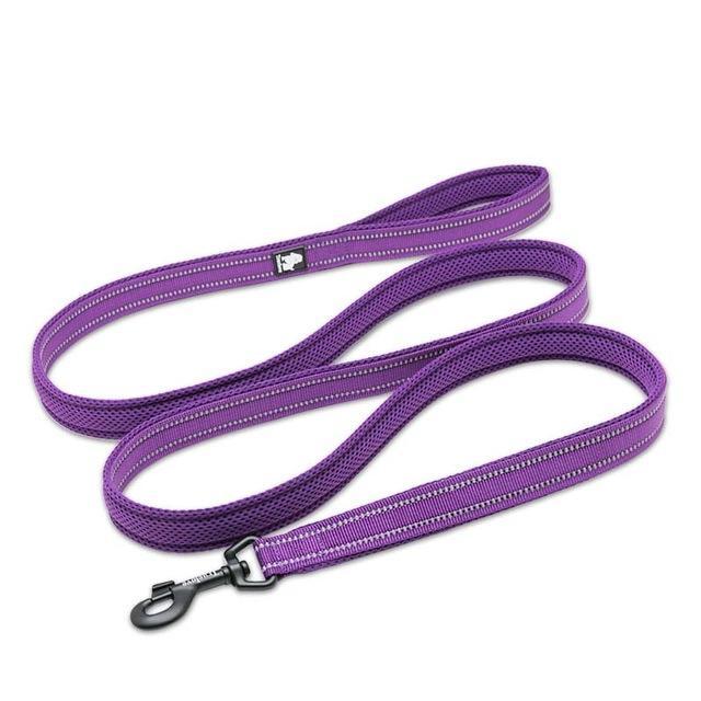 Soft Mesh Nylon Double Thickness Reflective Dog Leash