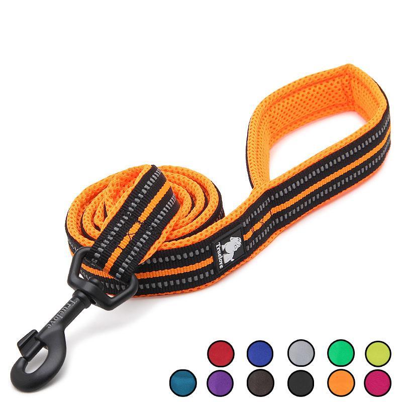 Soft Mesh Nylon Double Thickness Reflective Dog Leash