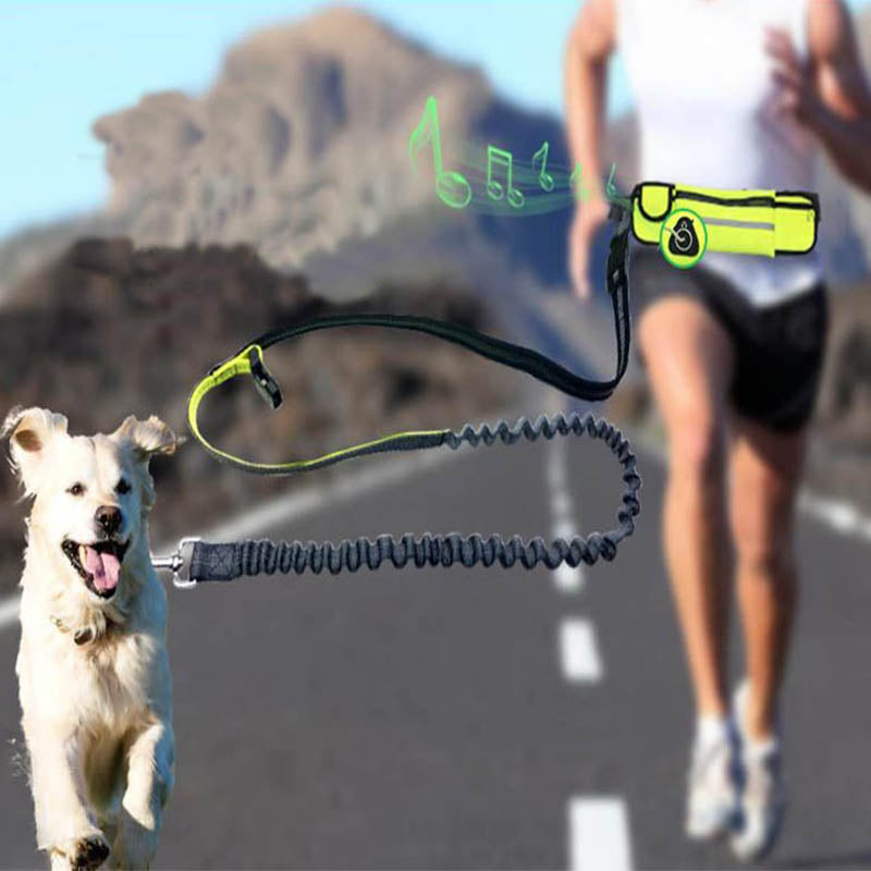 Ganyue Hands Free Elastic Dog Leash Adjustable Padded Waist Reflective Running Jogging Walking Pet Lead Belt With Pouch Bags