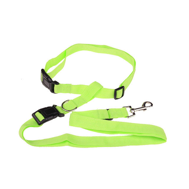 Attractive  Beautiful  Colorful Popular Traction Pulling Leash Pet Dog Running Jogging Convenient Safe Fashional  Goods for pets