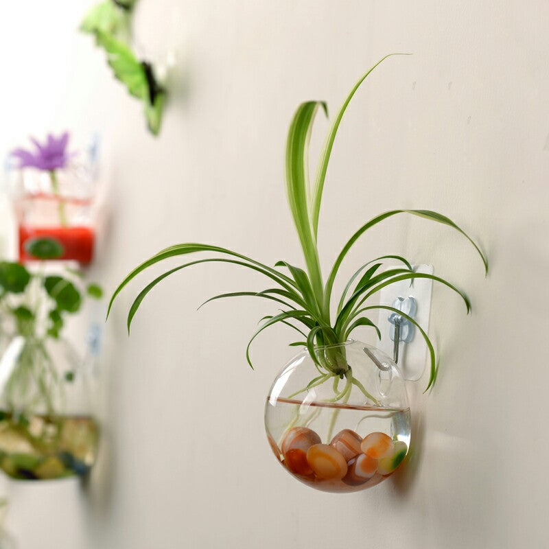 Hanging Flower Pot Glass Ball
