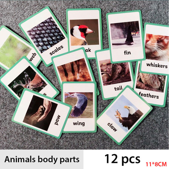 Children Baby English Learning Word Card Pocket Flash  Learning Montessori Educational Toys Word Table Game Card for kids