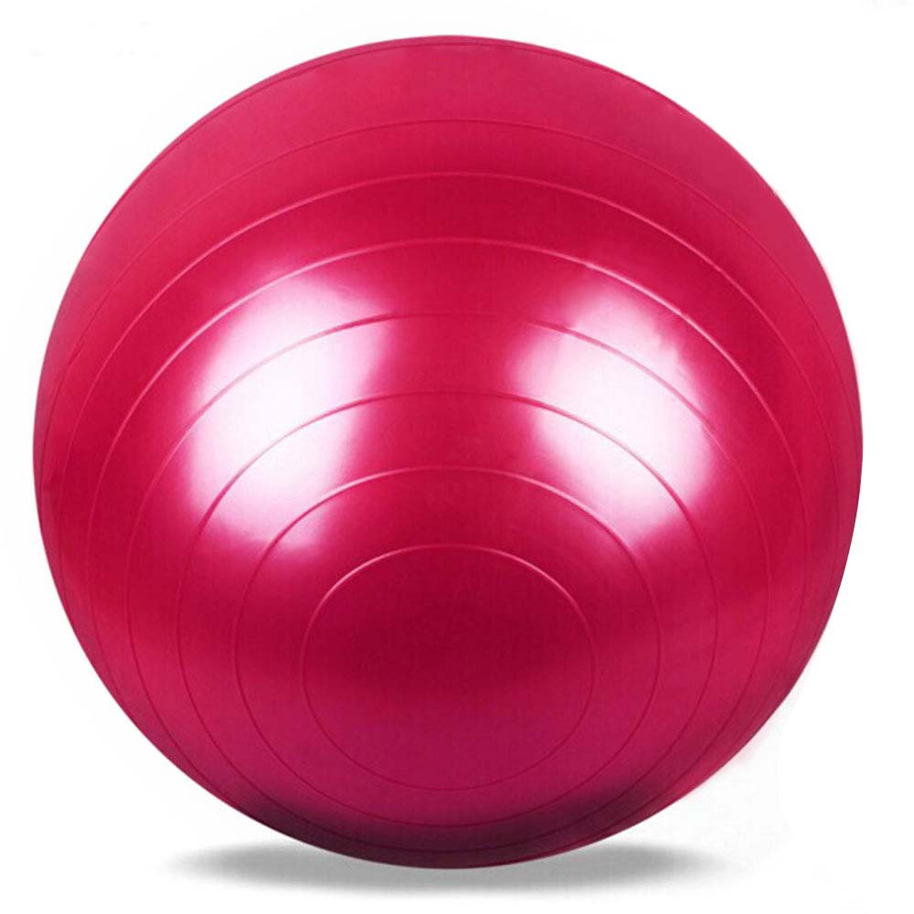 65cm Fitness Yoga Ball