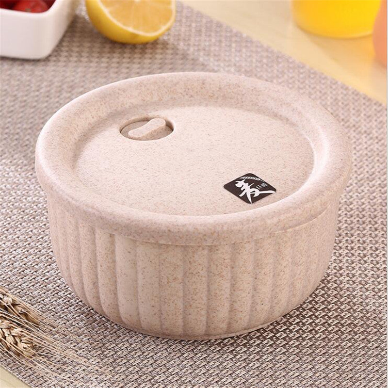 Wheat Straw Biodegradable Bowl Lunchbox with Lid