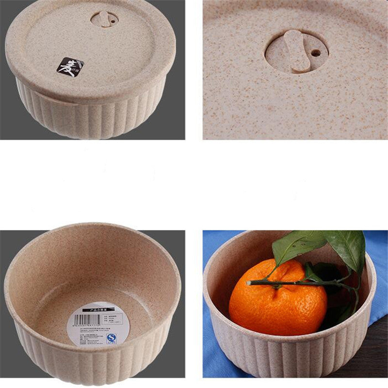 Wheat Straw Biodegradable Bowl Lunchbox with Lid