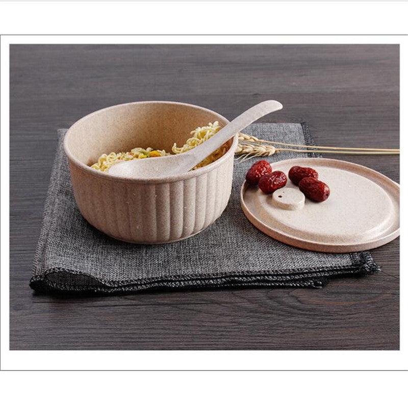 Wheat Straw Biodegradable Bowl Lunchbox with Lid