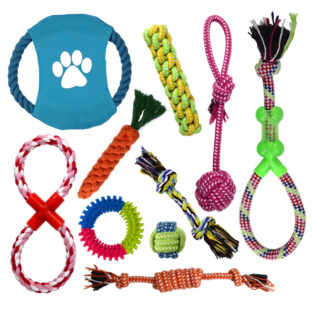 10 Piece Interactive Dog Chew Toys