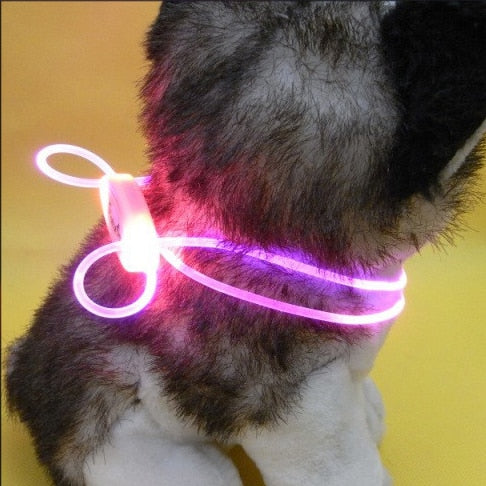 LED Pet Collar Adjustable Night Safety Pet Collar Luminous Light Up Pet Dog Bright Collar Leash