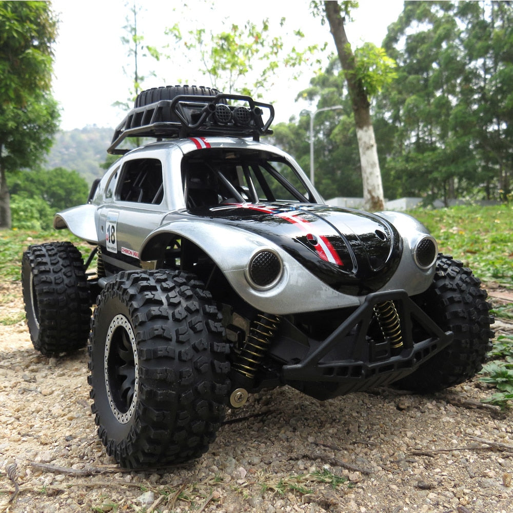 Outdoor Dune Buggy RC Car