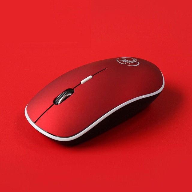 Silent Optical 2.4Ghz Ergonomic Wireless Mouse with Nano Receiver