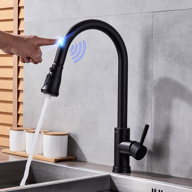 Stainless Steel Touch Inductive Dual Mode Kitchen Faucet