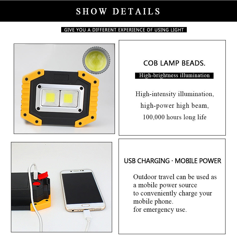 Portable 20W Waterproof COB LED Rechargeable 3-Mode Floodlight