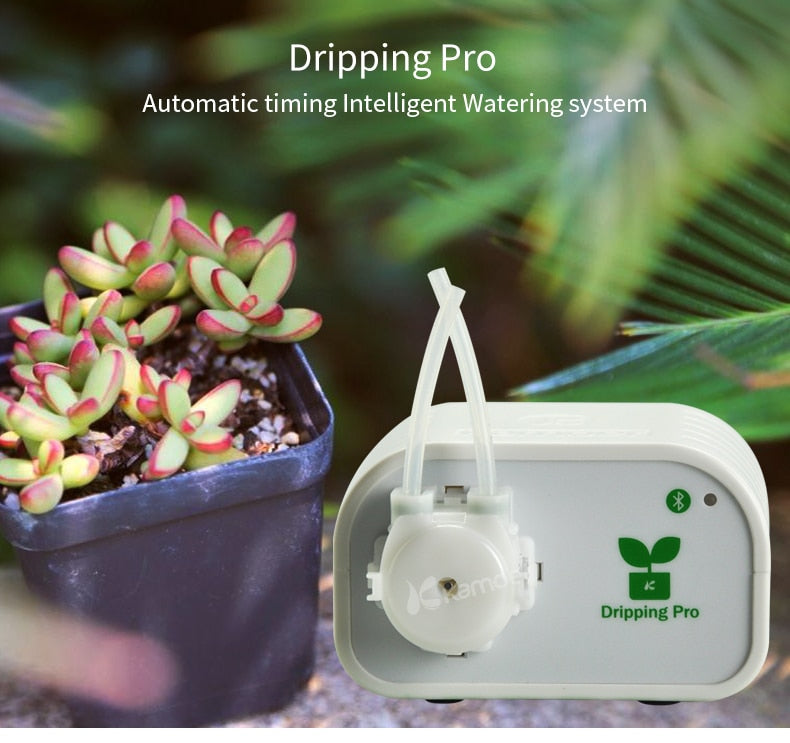 Automatic Watering Greenhouse Indoor Irrigation System