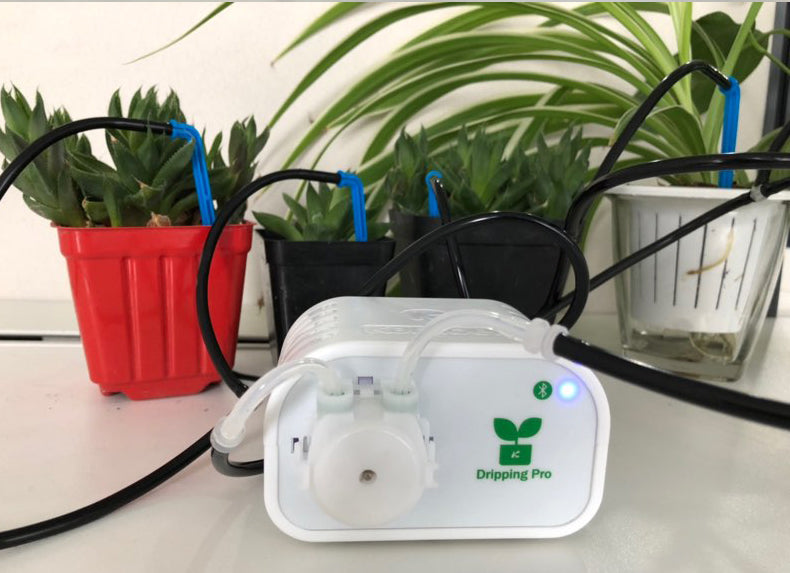 Automatic Watering Greenhouse Indoor Irrigation System