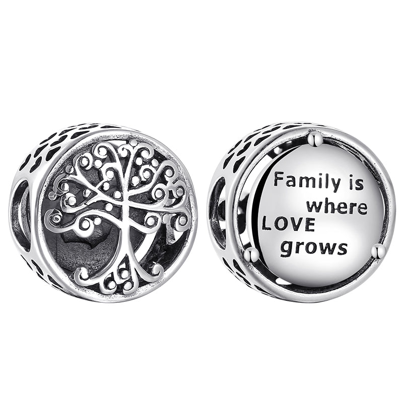 Women's 925 Sterling Silver Family Is Where Love Grows Bead Charm