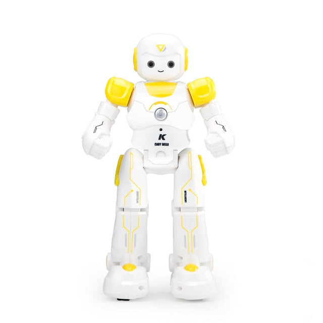 USB Rechargeable Dancing Smart Control Robot