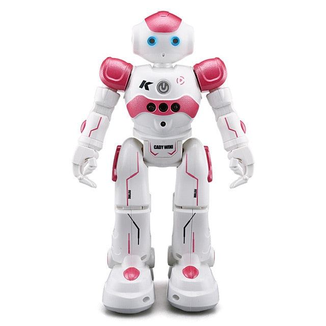 USB Rechargeable Dancing Smart Control Robot