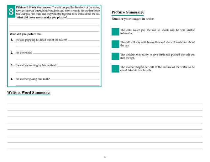 V V Comprehension Workbooks Grade 5 Gander Publishing