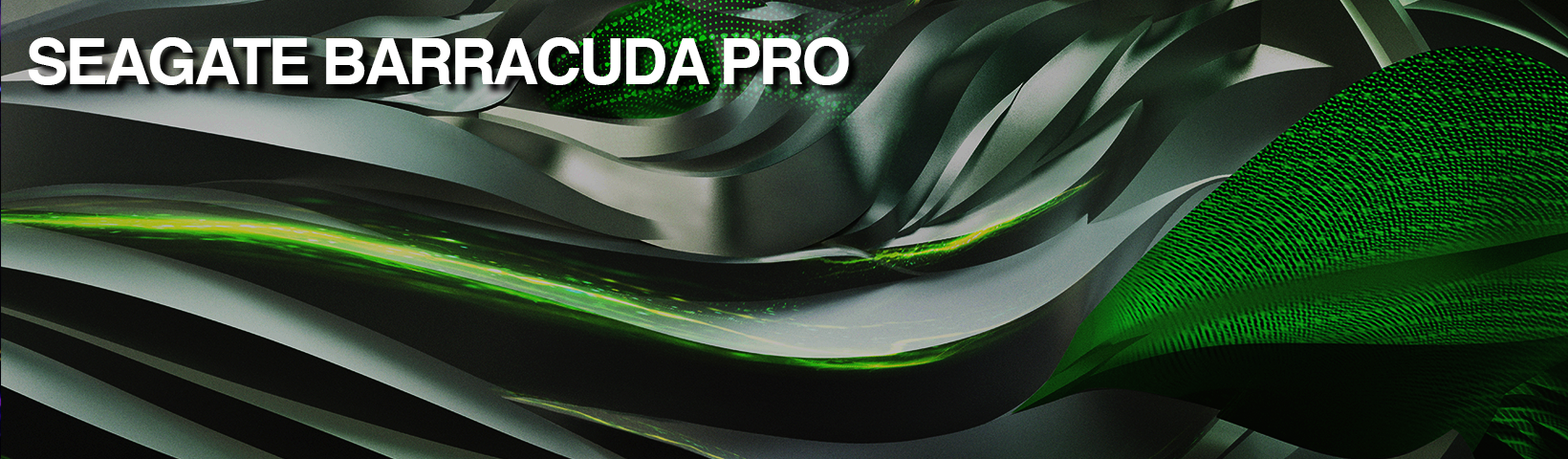 Seagate Barracuda Pro 12TB Recert