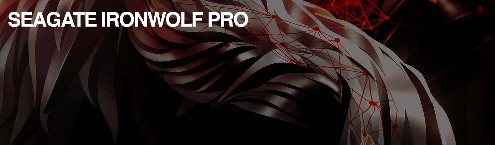 IronWolf Pro 4TB Recert Drive