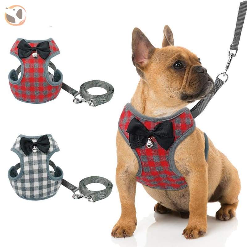 collar harness leash set