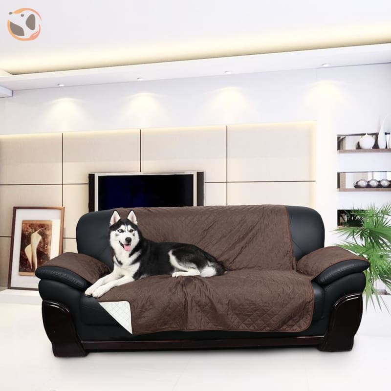 washable couch covers for pets