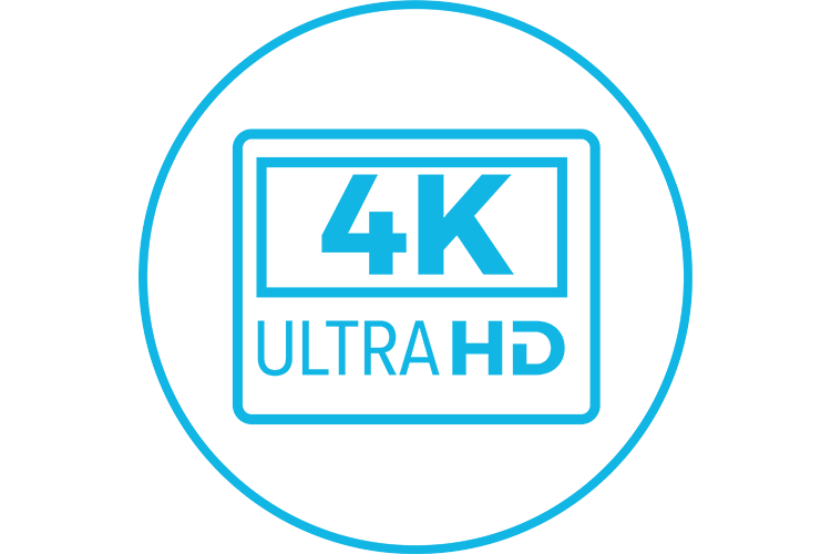 HD or 4K UHD Display