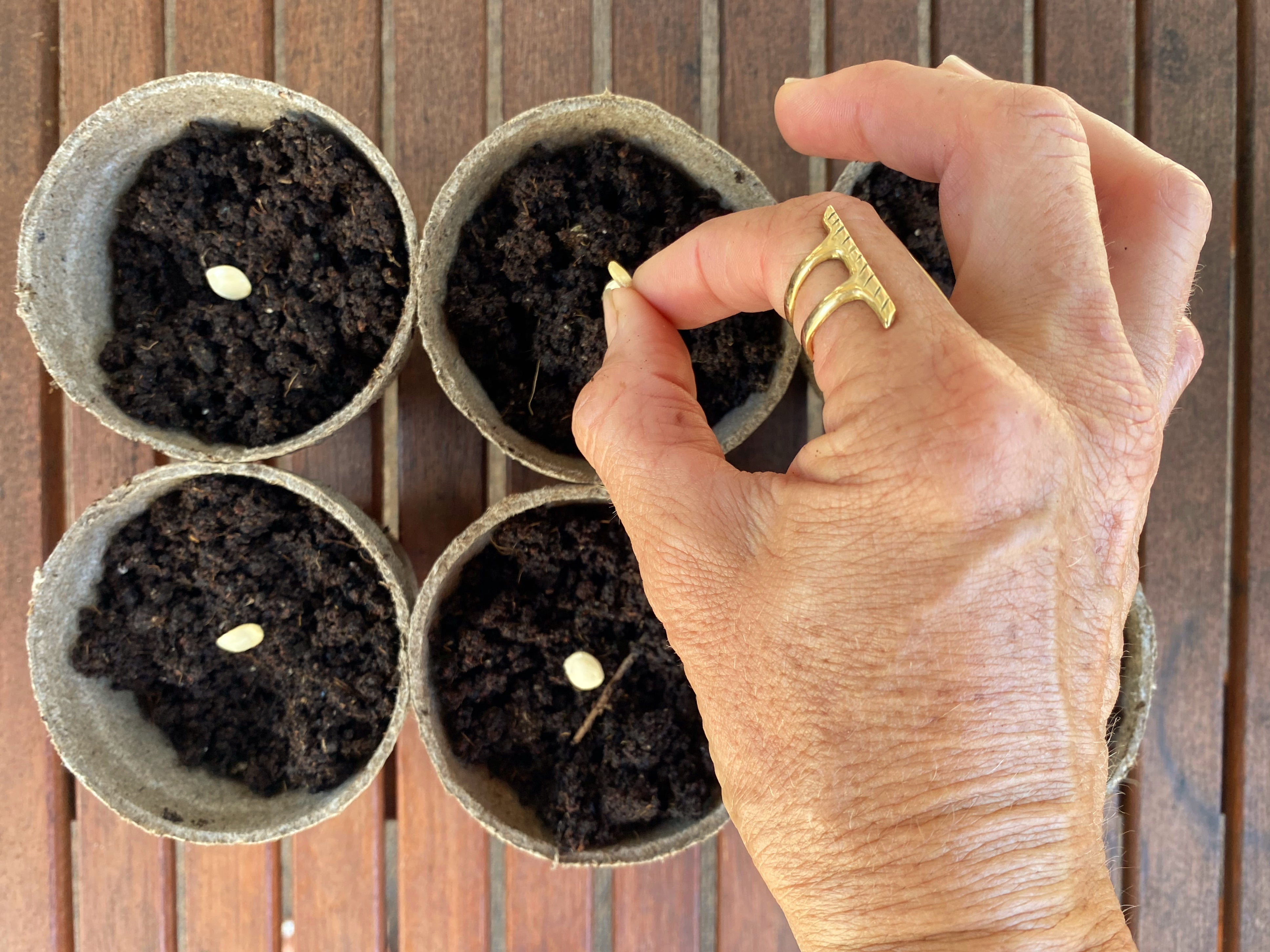 Adding seeds to pots filled with potting soil