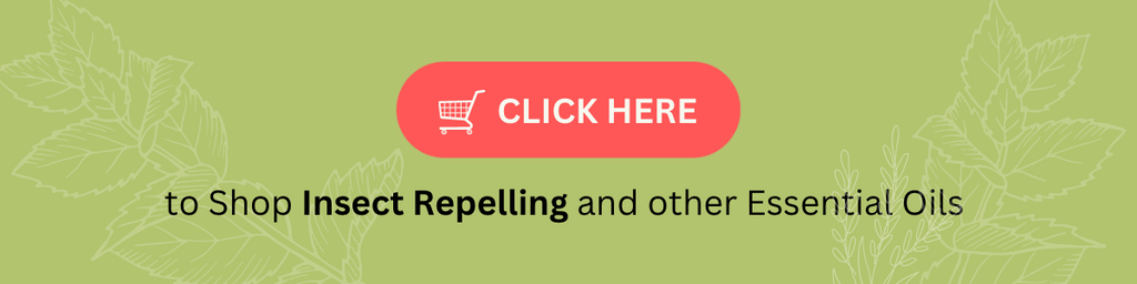 Shop insect Repelling Essential Oils 