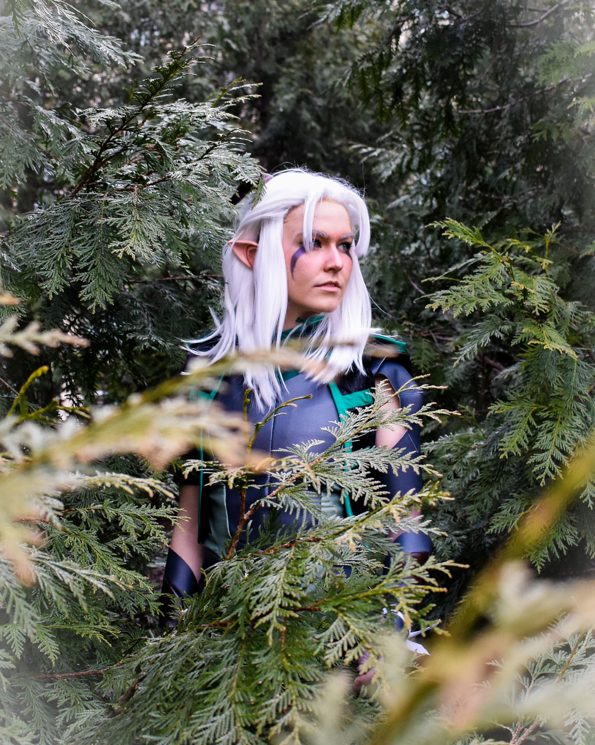 Featured image of post Rayla Dragon Prince Cosplay 4 9 out of 5 stars 44