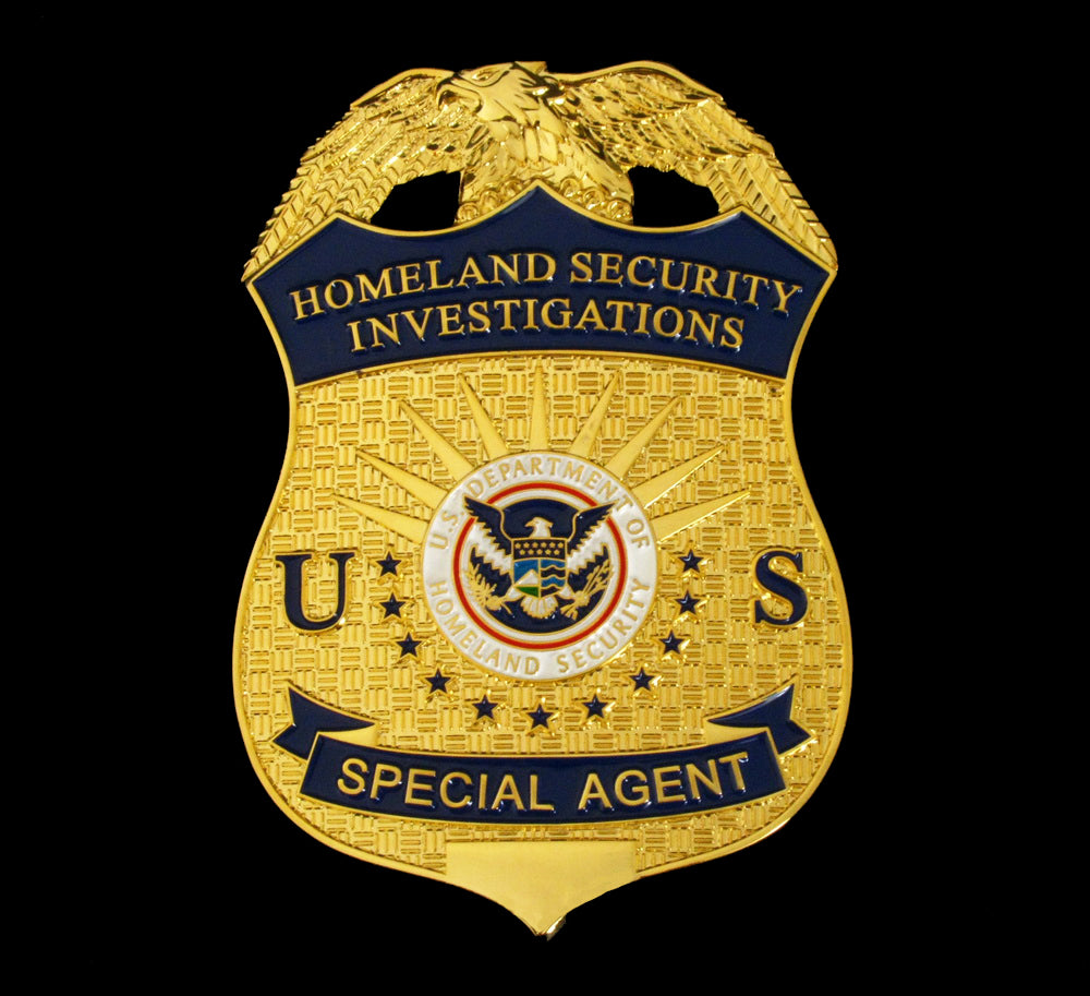 homeland security investigations