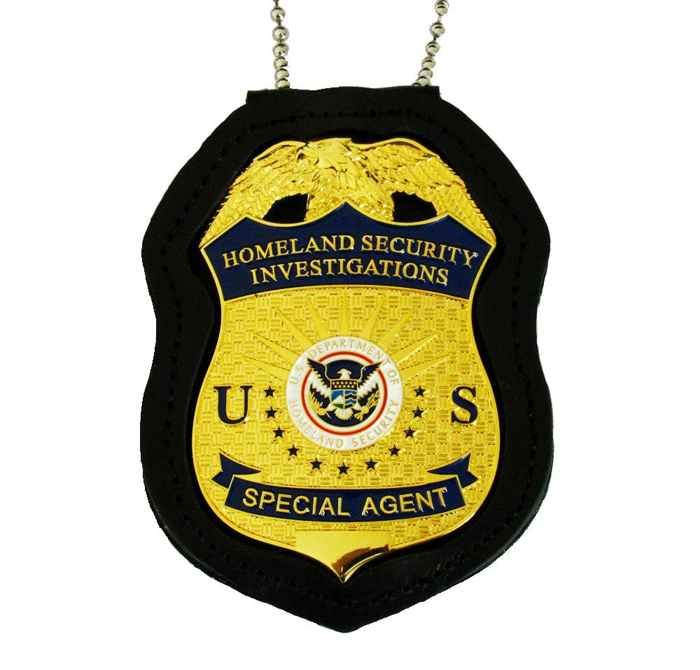homeland security investigations