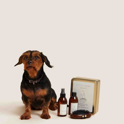 Dog grooming set