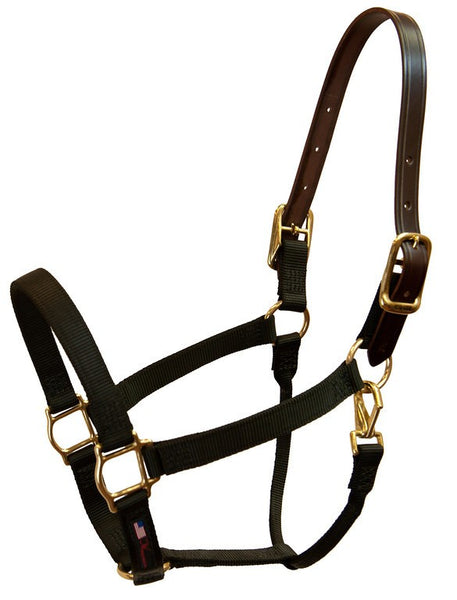 breakaway foal halter