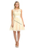 Sleeveless Lace Short Mesh Dress- LA8120