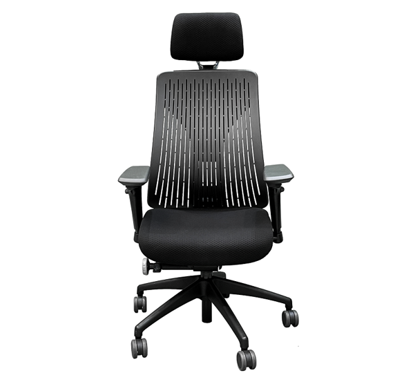 truly ergonomic chair