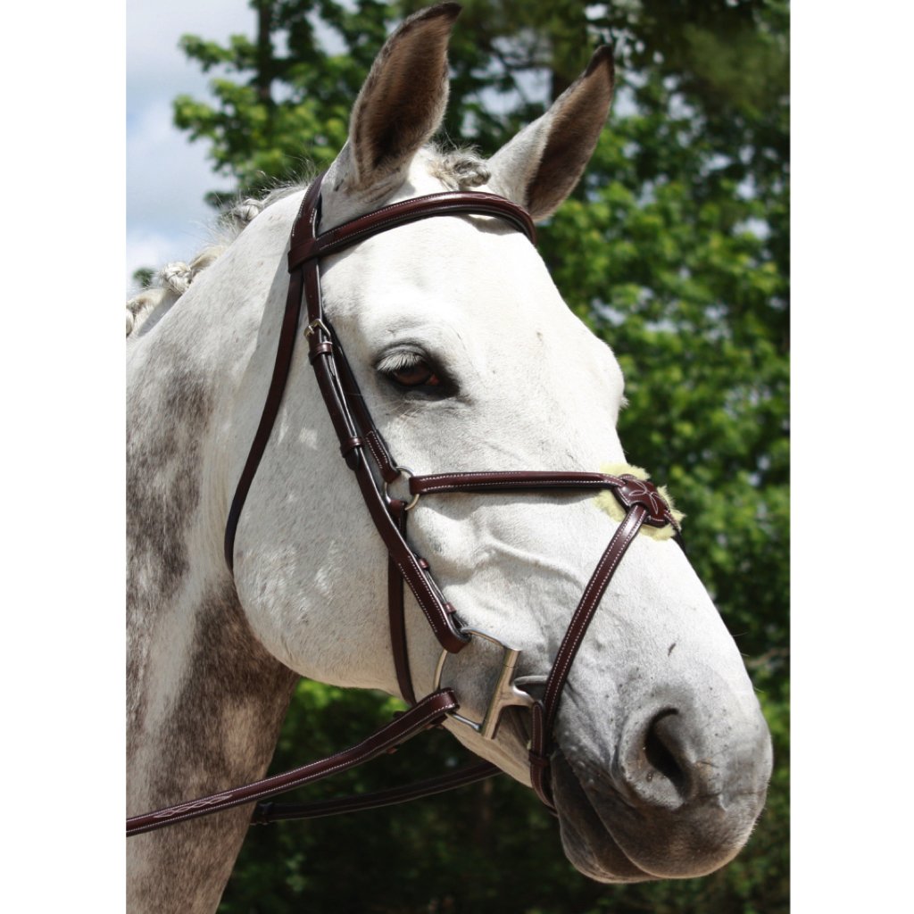 Red Barn Equinox Stitched Padded Figure 8 Bridle Horse