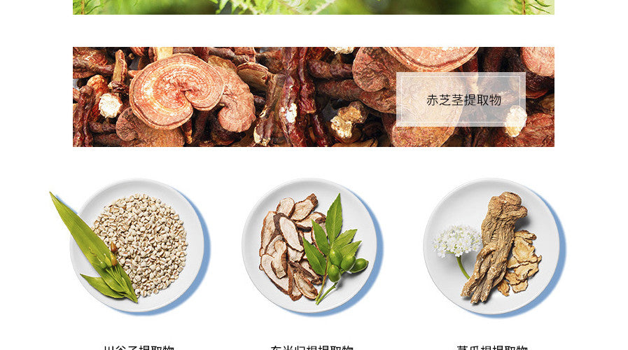 Kose雪肌精盈润型化妆水超值三件套